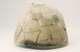 FileNo.147-364.jpg