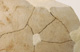 FileNo.147-369.jpg