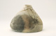 FileNo.147-372.jpg