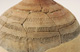 FileNo.147-381.jpg