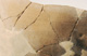 FileNo.147-395.jpg