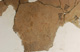 FileNo.147-419.jpg