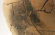 FileNo.147-421.jpg