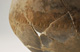 FileNo.147-426.jpg