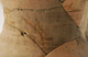 FileNo.147-430.jpg
