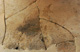 FileNo.147-431.jpg