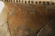 FileNo.147-446.jpg