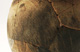 FileNo.147-451.jpg