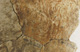 FileNo.147-453.jpg