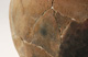 FileNo.147-462.jpg