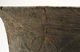 FileNo.147-465.jpg