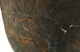 FileNo.147-466.jpg