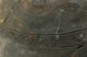 FileNo.147-472.jpg