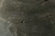 FileNo.147-473.jpg