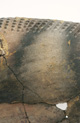 FileNo.147-475.jpg