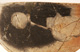 FileNo.147-477.jpg