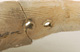 FileNo.147-481.jpg