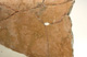 FileNo.147-497.jpg