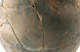 FileNo.147-525.jpg