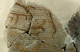 FileNo.147-546.jpg