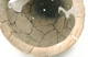 FileNo.147-555.jpg