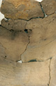 FileNo.147-558.jpg
