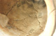 FileNo.147-562.jpg