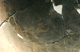 FileNo.147-564.jpg