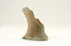 FileNo.147-569.jpg