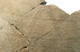 FileNo.147-571.jpg