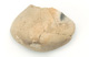 FileNo.147-625.jpg