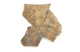 FileNo.147-636.jpg