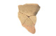 FileNo.147-645.jpg