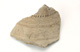 FileNo.147-653.jpg