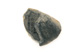 FileNo.147-655.jpg