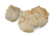 FileNo.147-659.jpg