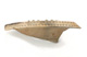 FileNo.147-660.jpg