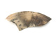 FileNo.147-661.jpg