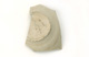 FileNo.147-671.jpg