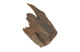 FileNo.147-718.jpg