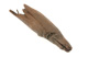 FileNo.147-725.jpg