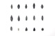 FileNo.147-728.jpg