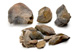 FileNo.147-771.jpg
