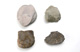 FileNo.147-772.jpg