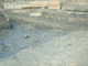 FileNo.142-021.jpg