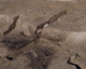 FileNo.142-032.jpg