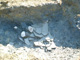 FileNo.142-036.jpg