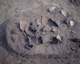 FileNo.142-042.jpg