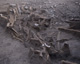 FileNo.142-044.jpg