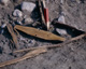 FileNo.142-049.jpg